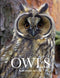 Owls - Taylor 2012